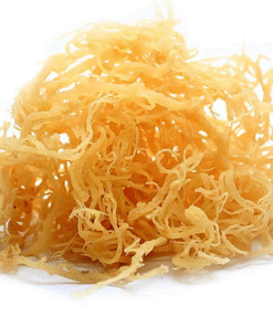 DRIED SEA MOSS