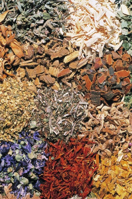 dried herb assortment th foto werbungscience photo library