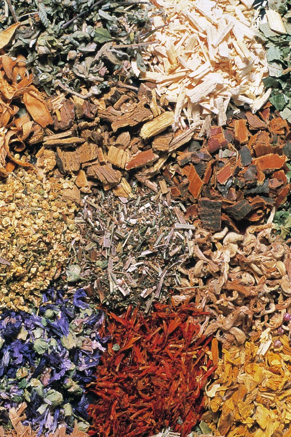 dried herb assortment th foto werbungscience photo library